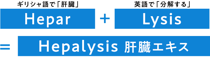 ギリシャ語で「肝臓」Hepar + 英語で「分解する」Lysis = Hepalysis 肝臓エキス