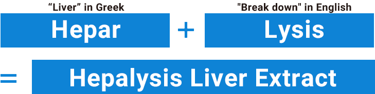 ギリシャ語で「肝臓」Hepar + 英語で「分解する」Lysis = Hepalysis 肝臓エキス