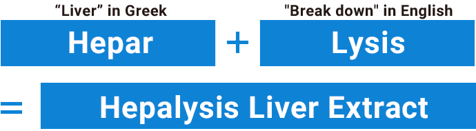 ギリシャ語で「肝臓」Hepar + 英語で「分解する」Lysis = Hepalysis 肝臓エキス